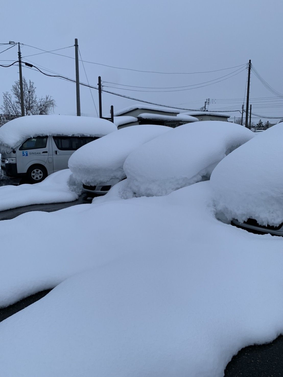 雪に埋もれる車