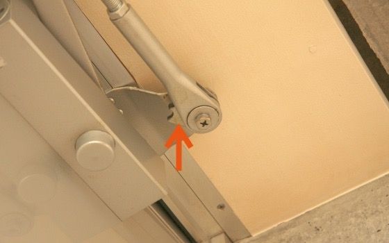 ツメが見えている状態