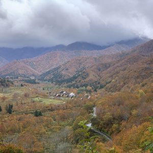 冬へ向かう山の風景