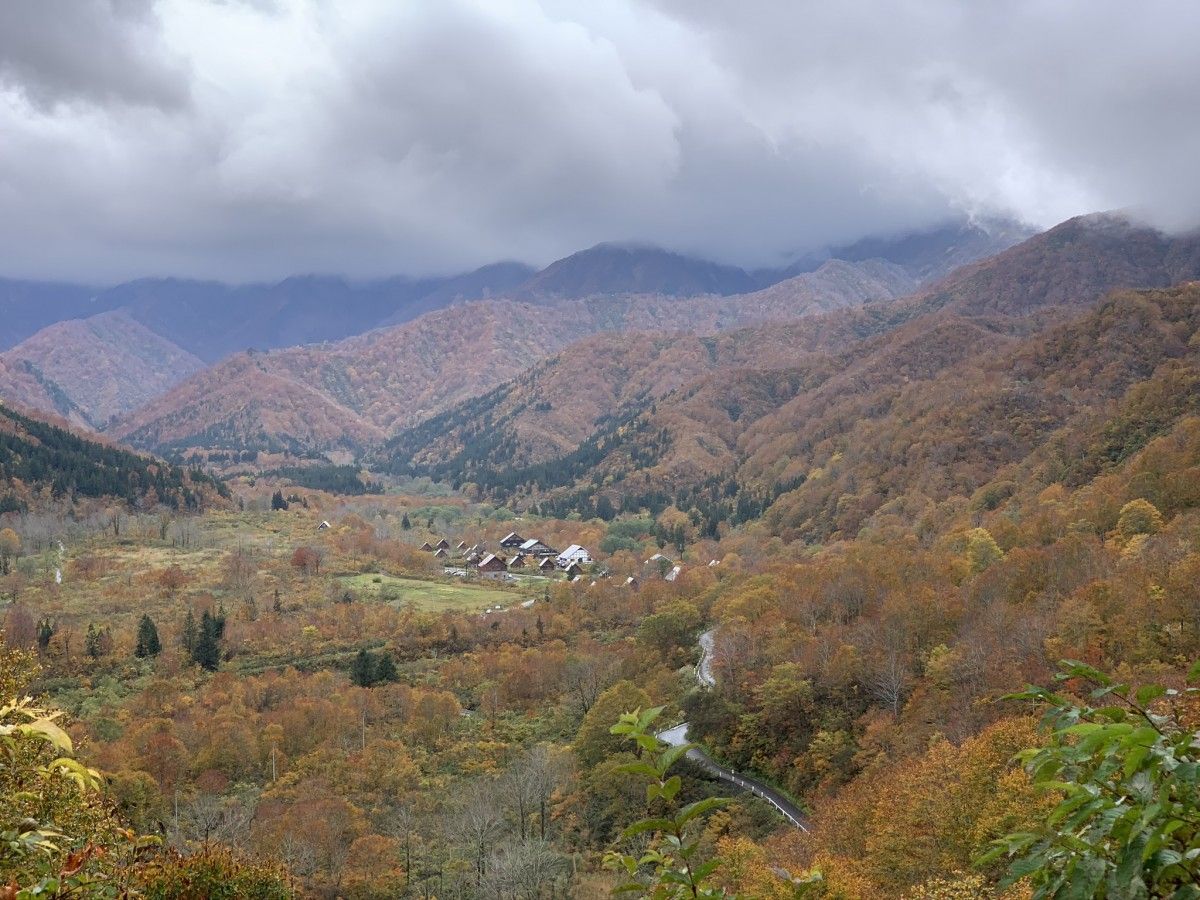 冬へ向かう山の風景