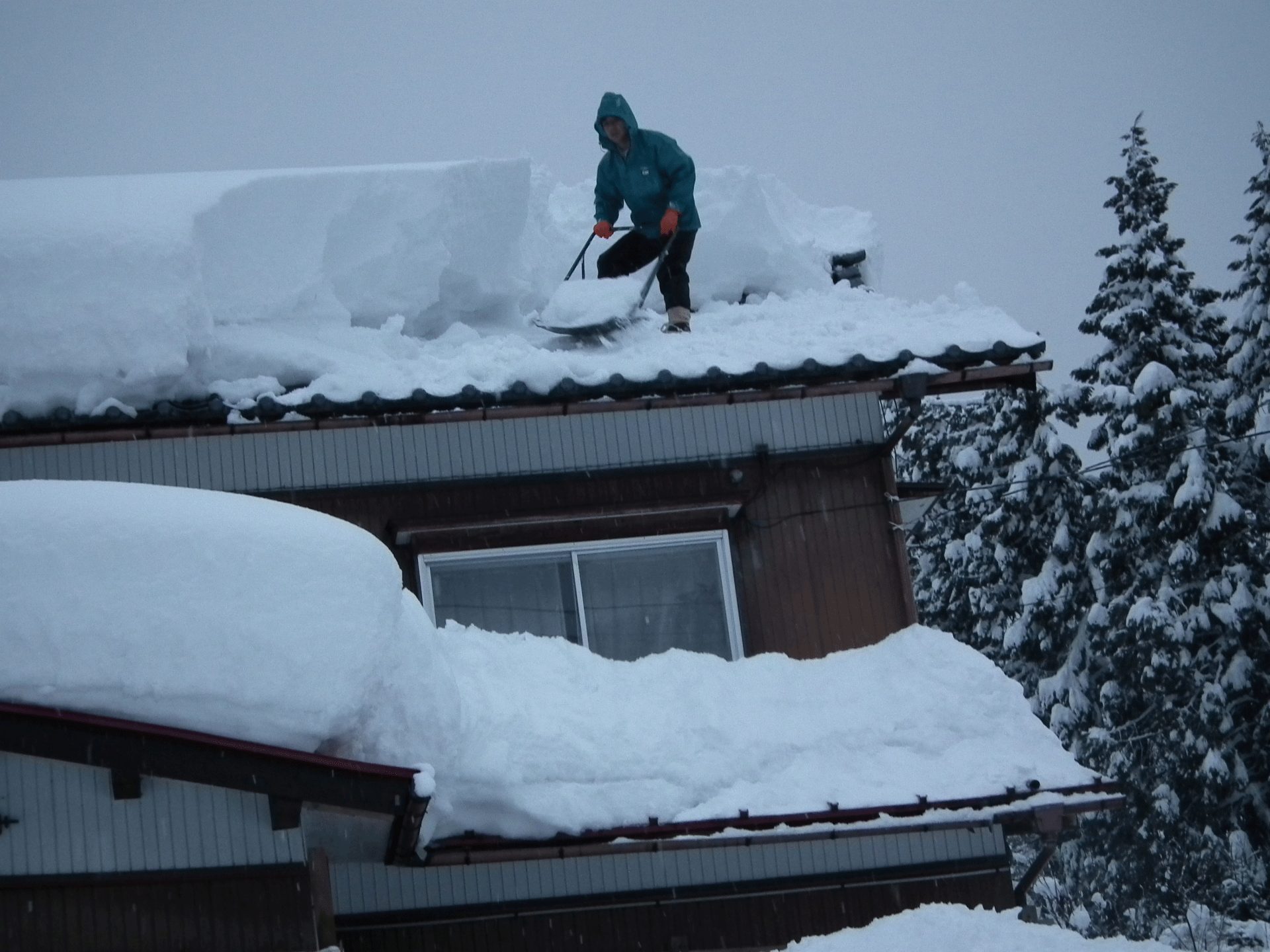 新潟の雪対策