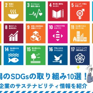 新潟のSDGsの取り組み20選！県内企業のサステナビリティ情報を紹介