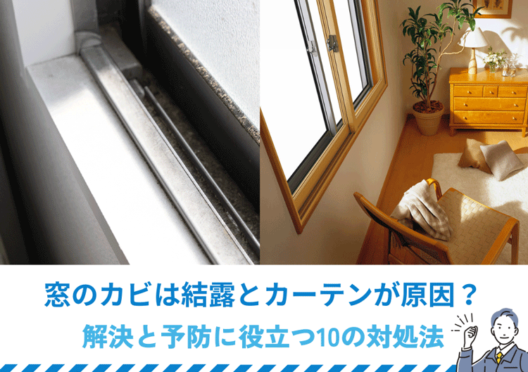 窓のカビは結露とカーテンが原因？解決と予防に役立つ10の対処法