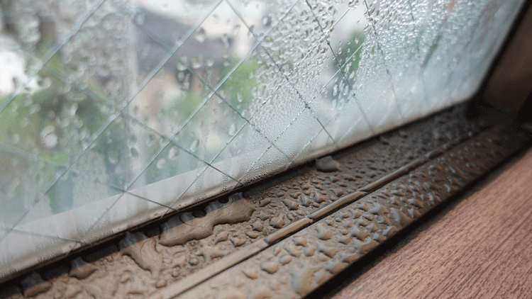 窓に発生した結露