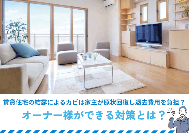 賃貸住宅の結露によるカビは家主が原状回復し退去費用を負担？オーナー様ができる対策とは？