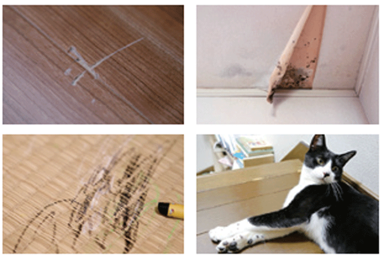 特に賃借人負担になりやすいケース-国土交通省-住宅局-参事官（マンション・賃貸住宅担当）公益財団法人日本賃貸住宅管理協会